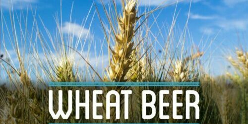 Wheat Beer Wheat Beer
