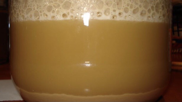 Yeast Starter