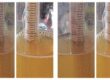 Hydrometer