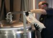 Liquid Yeast
