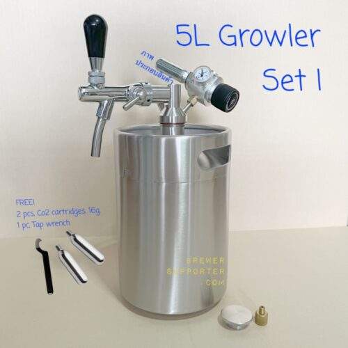 Growler 5L with tap and mini regulator.