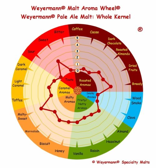 Pale Ale Malt_Whole Kernel