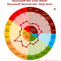 Melanoidin Malt_Whole Kernel
