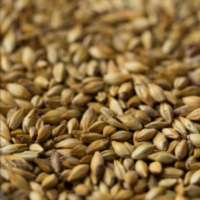 มอลต์ Gladfield Malt - Light Crystal Malt.