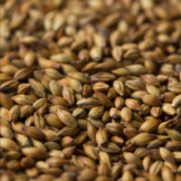 มอลต์ Gladfield Malt - Shepherds Delight Malt.