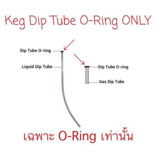 Keg dip tube oring for gas and liquid.