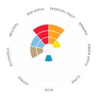 ยีสต์ Verdant IPA.