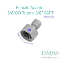 DMfit Female Adapter 3/8" OD x 5/8″ BSPT