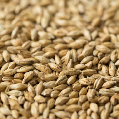 gladfield-ale-malt